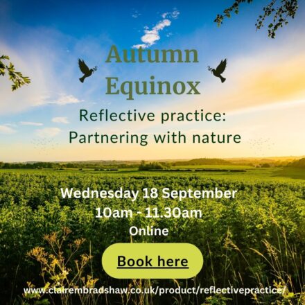 Autumn equinox: partnering with nature for seasonal reflection